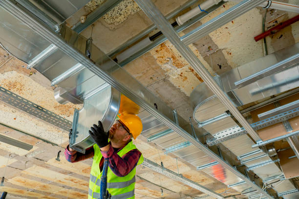 Best HVAC Cleaning Services  in Oldsmar, FL